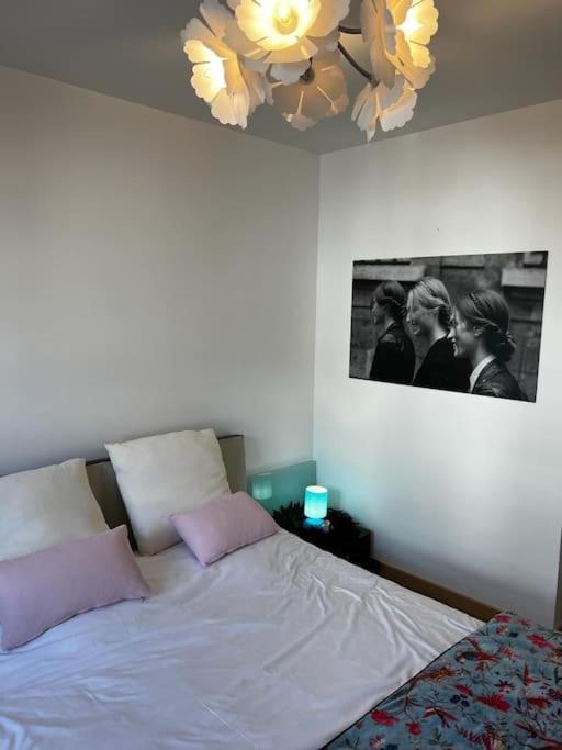 Les Pyou-Pyous Daire Nancy Dış mekan fotoğraf